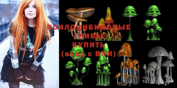 дурь Волоколамск
